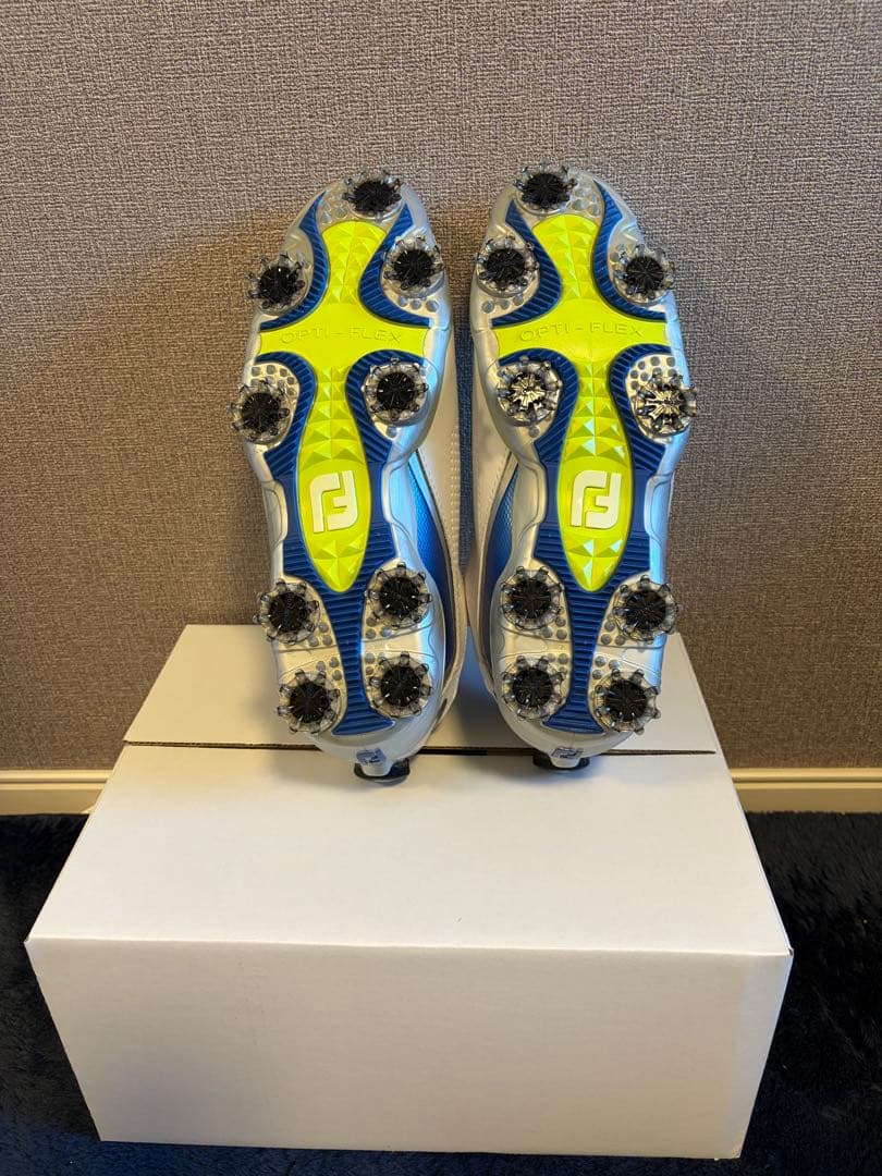FootJoy ゴルフシューズ メンズ 25cm