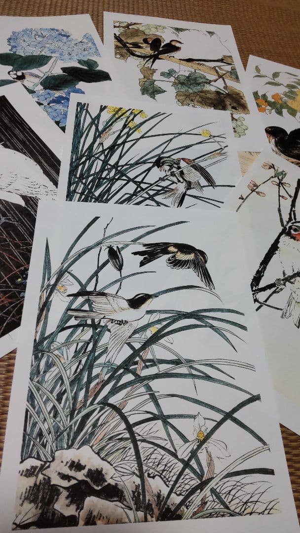 江戸屋の飾り絵　今尾景年の花鳥図の特別セット　8枚組