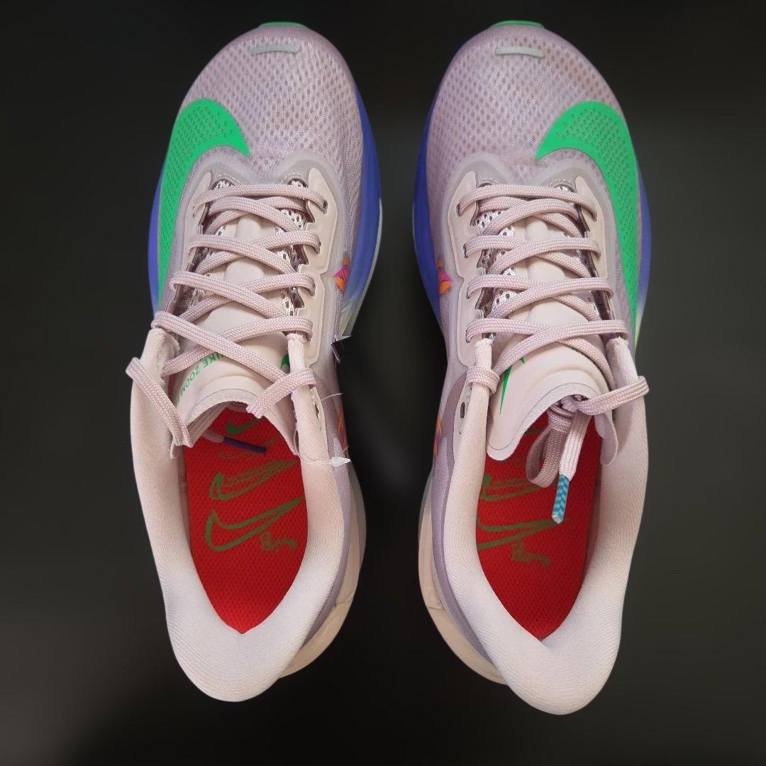 未使用❗ナイキ ZOOM FLY 6 EK 25cm