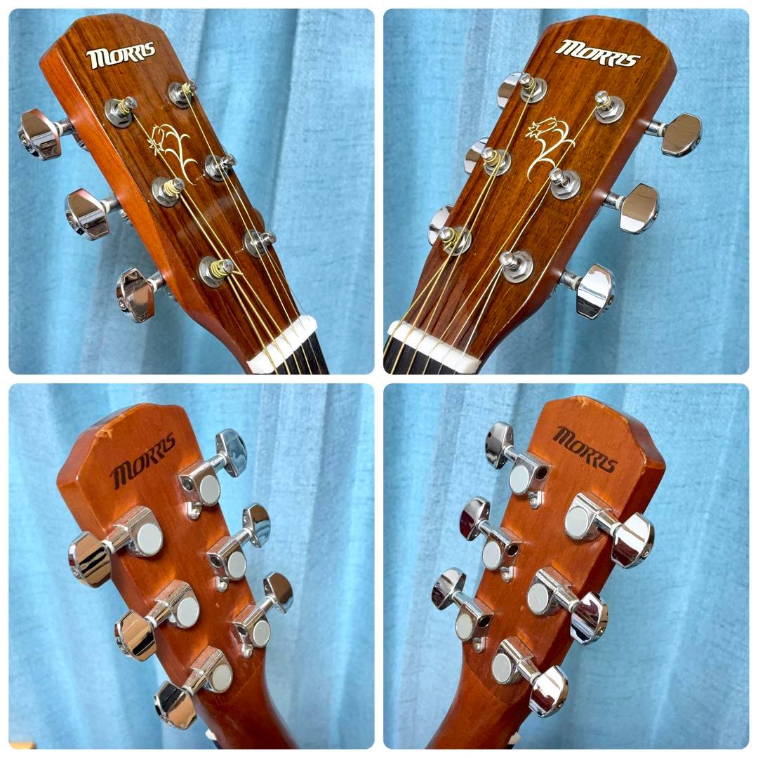 【牛骨】MORRIS！少し小ぶり！F-01Ⅱ【弾き易く調整☆新品弦】