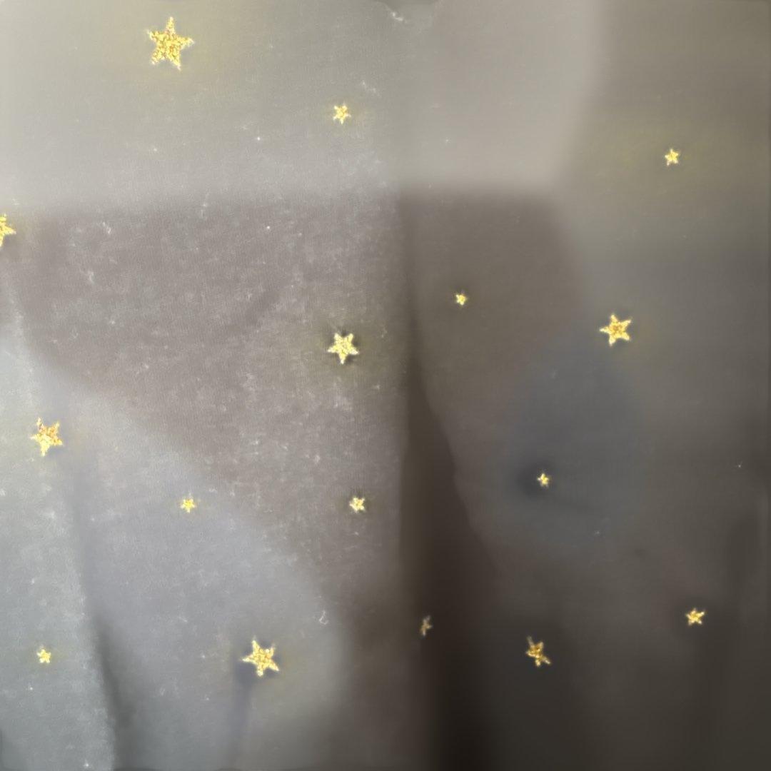 TheBirthdayルードギャラリー　STARBLOWSツアー星柄 Tシャツ