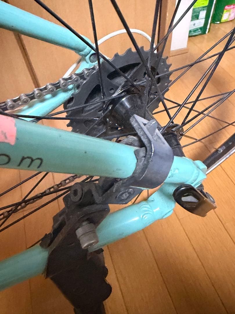 ビアンキ Bianchi カメレオンテ chameleont 洗車済み