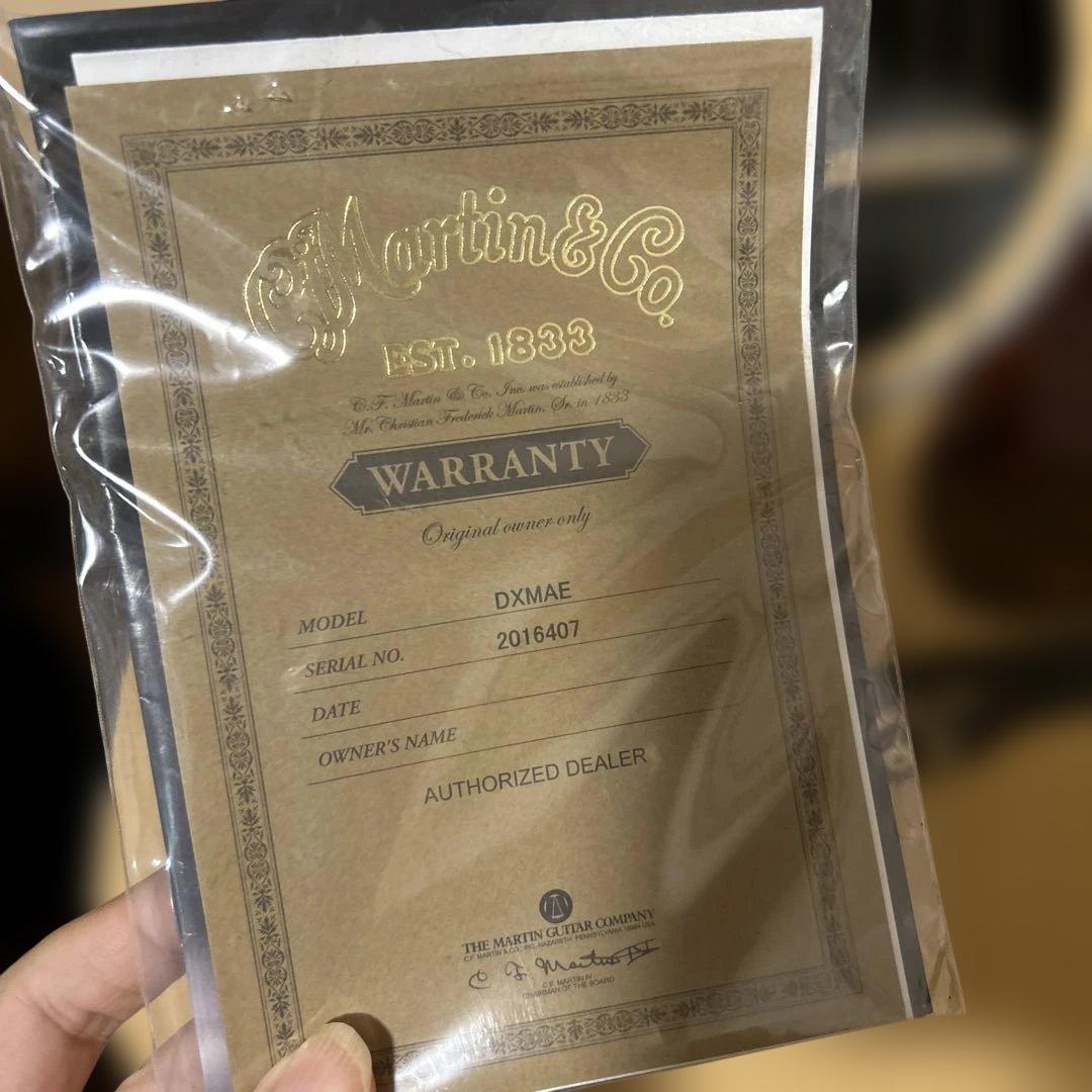 Martin & Co. DXMAE アコースティックギター　1833