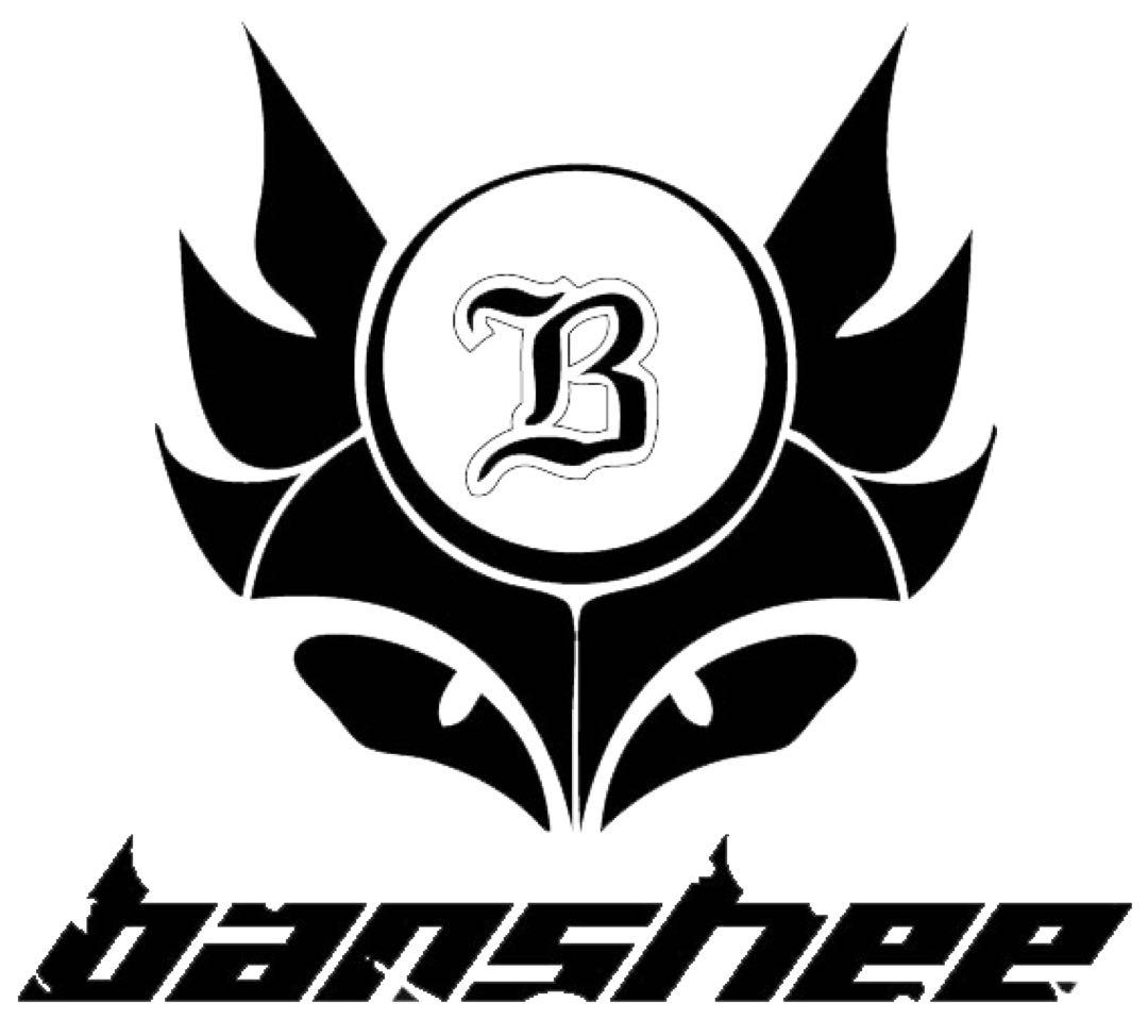 BANSHEE paradox v2 29er MTB フレーム Mサイズ