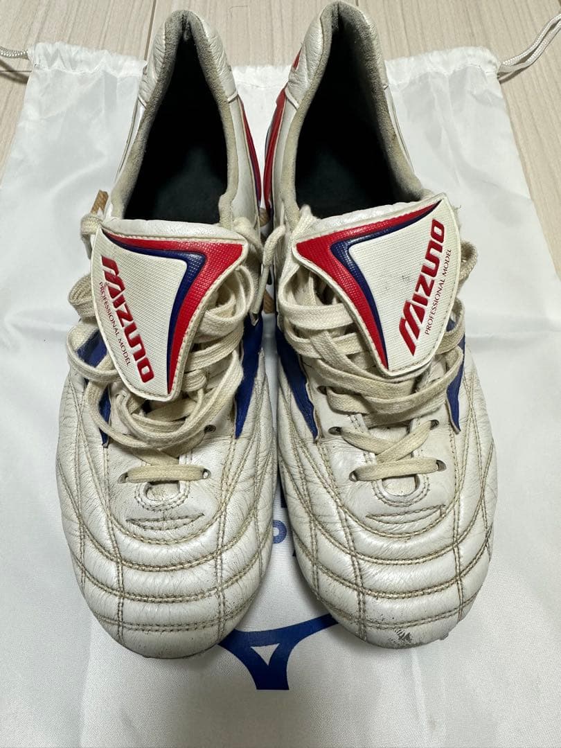 MIZUNO モレリアウェーブ JAPAN