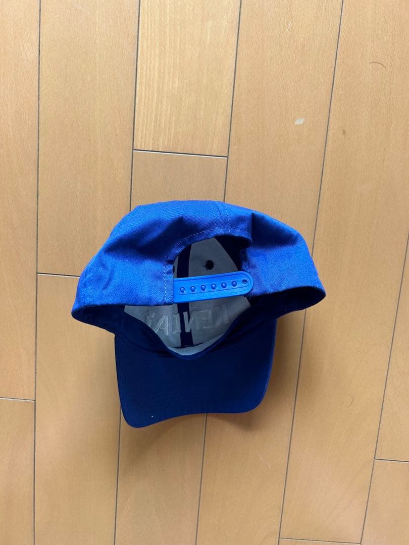 健大高崎野球応援グッズ
