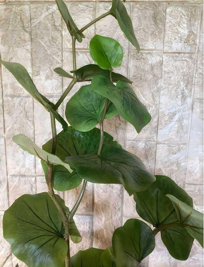 光触媒　人工観葉植物　ウォールグリーン　シーグレープトラカン93gpg