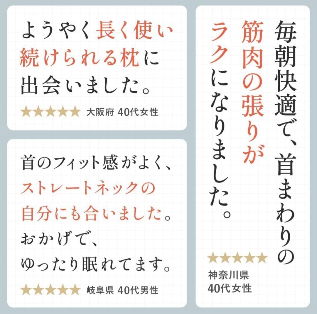 CALQS ダブル枕PLUS クールブルー(冷感素材) 枕 ピロー