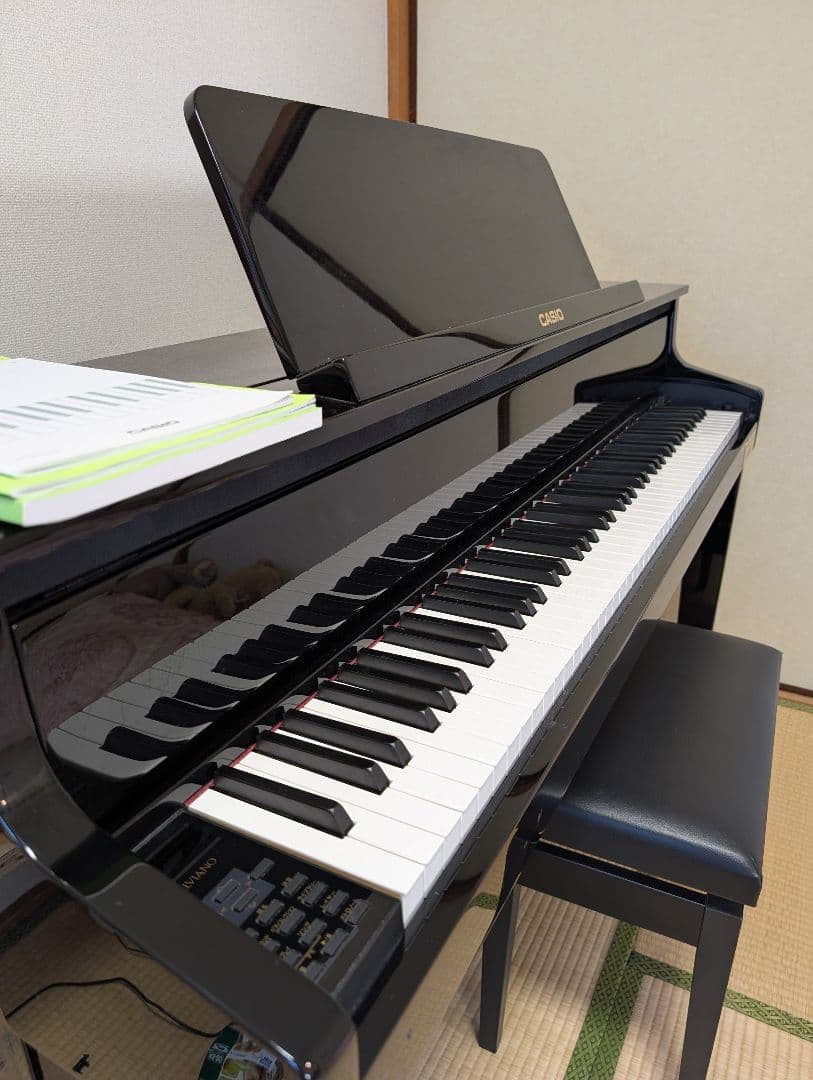 CASIO 電子ピアノ GP-1000 ベヒシュタイン ハイブリッドピアノ
