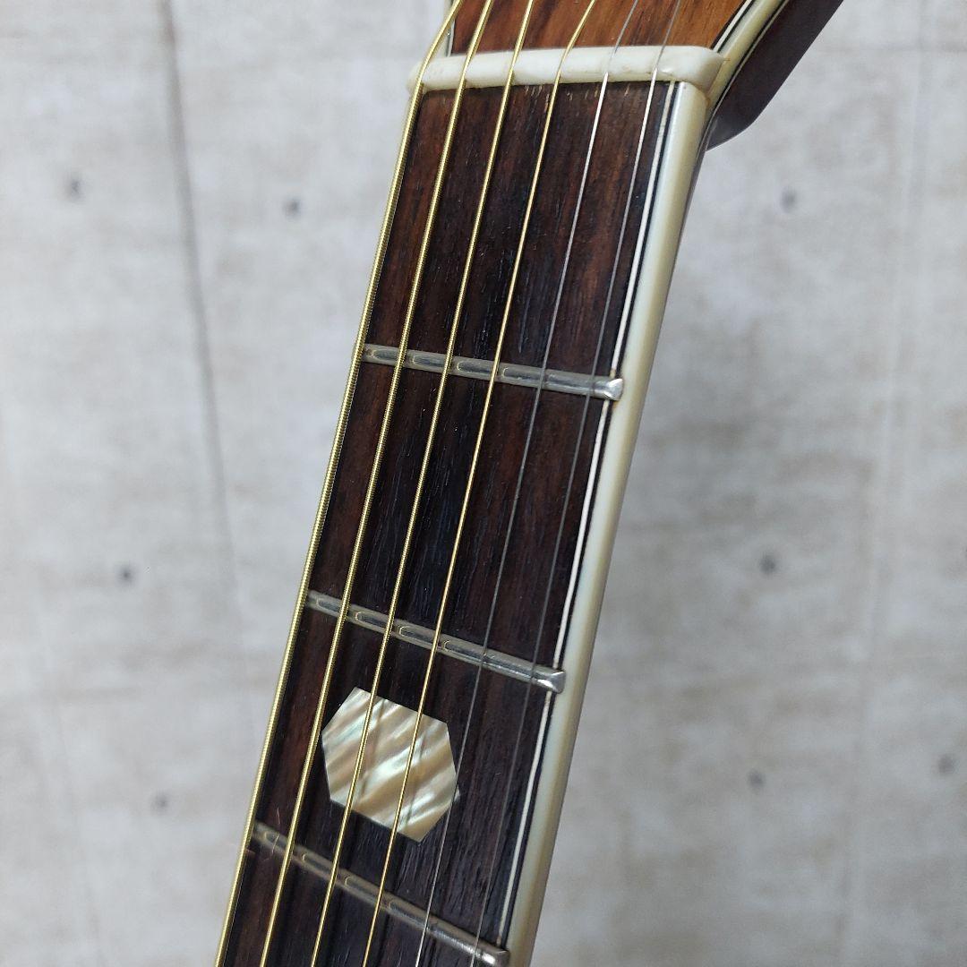 希少 Morris TF W-60 ハカランダ 縦ロゴ モーリス ハードケース付