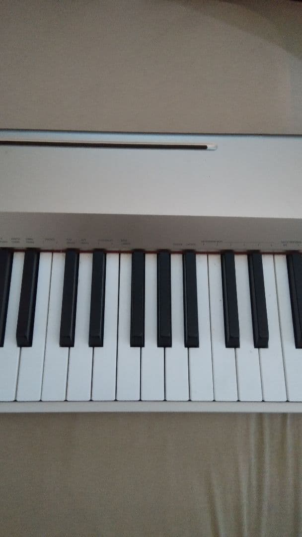 CASIO Privia 88鍵盤 デジタルピアノ PX-160 ジャンク