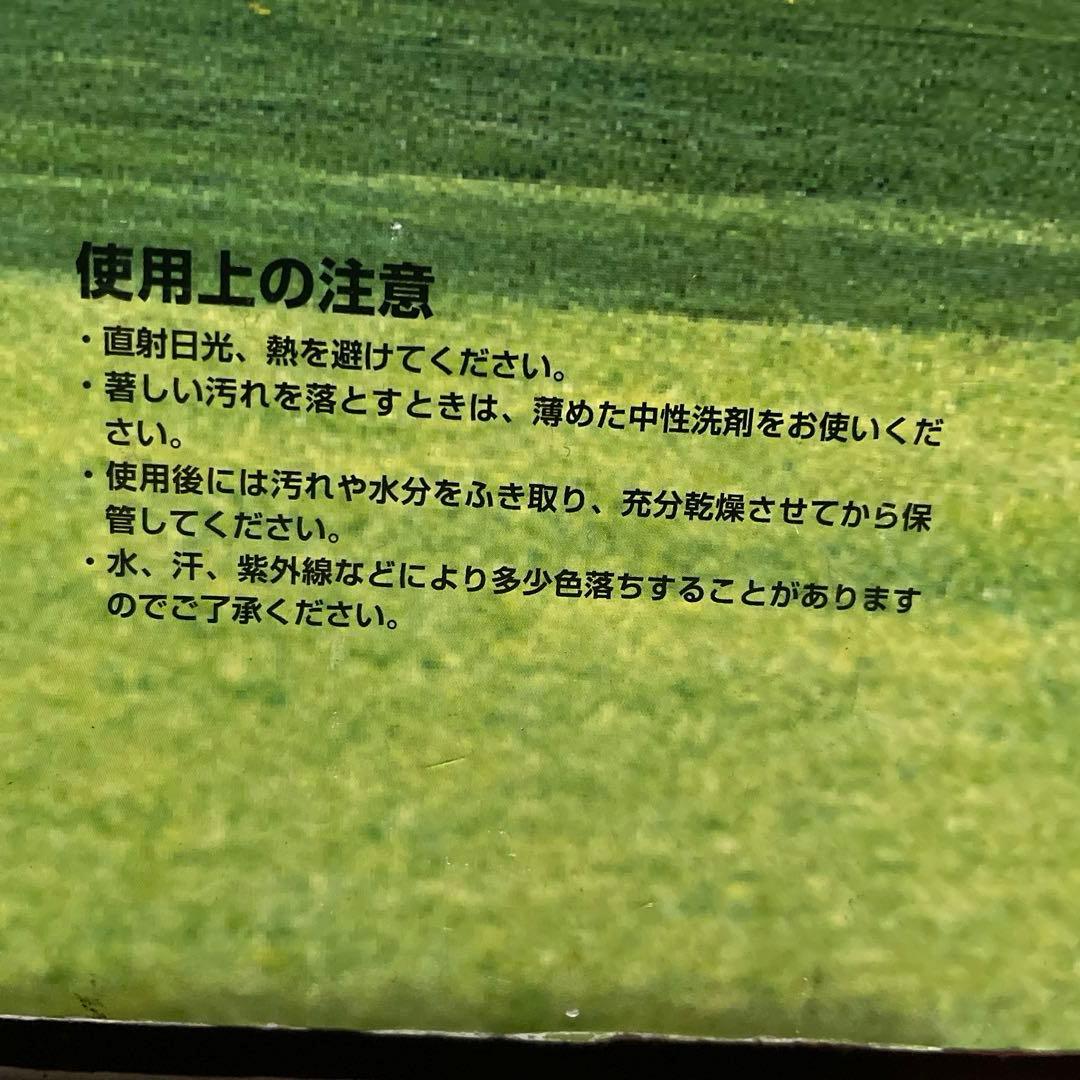 ノースイーグル ストロングスリムキャンプベッド コット