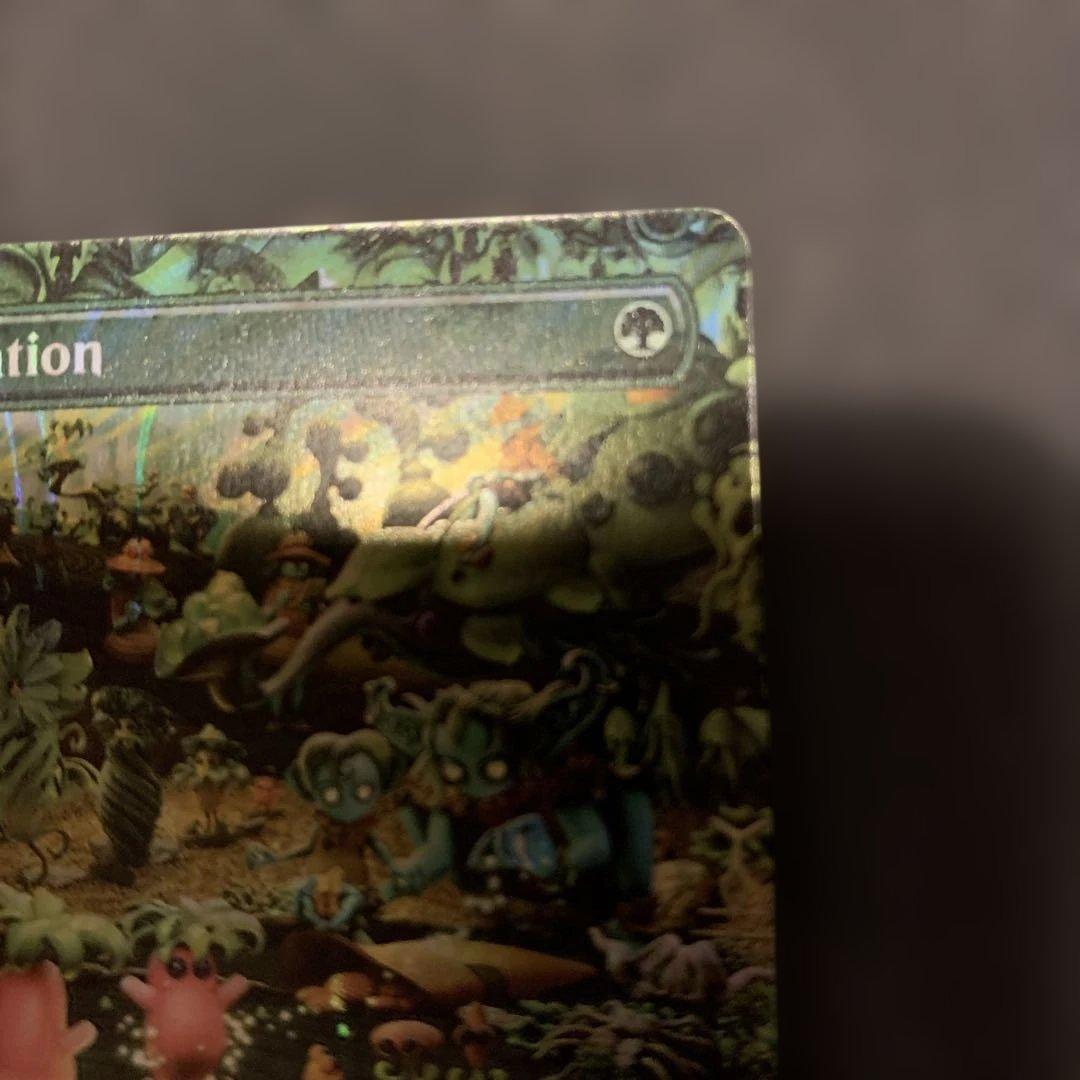 輪作　Crop Rotation ハローfoil