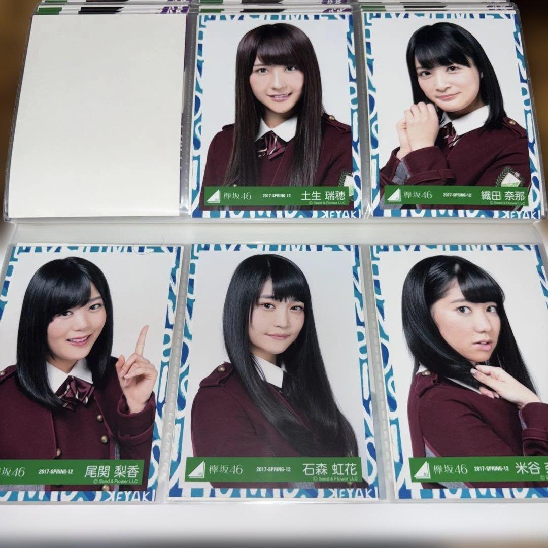 欅坂46 生写真　2016-2017
