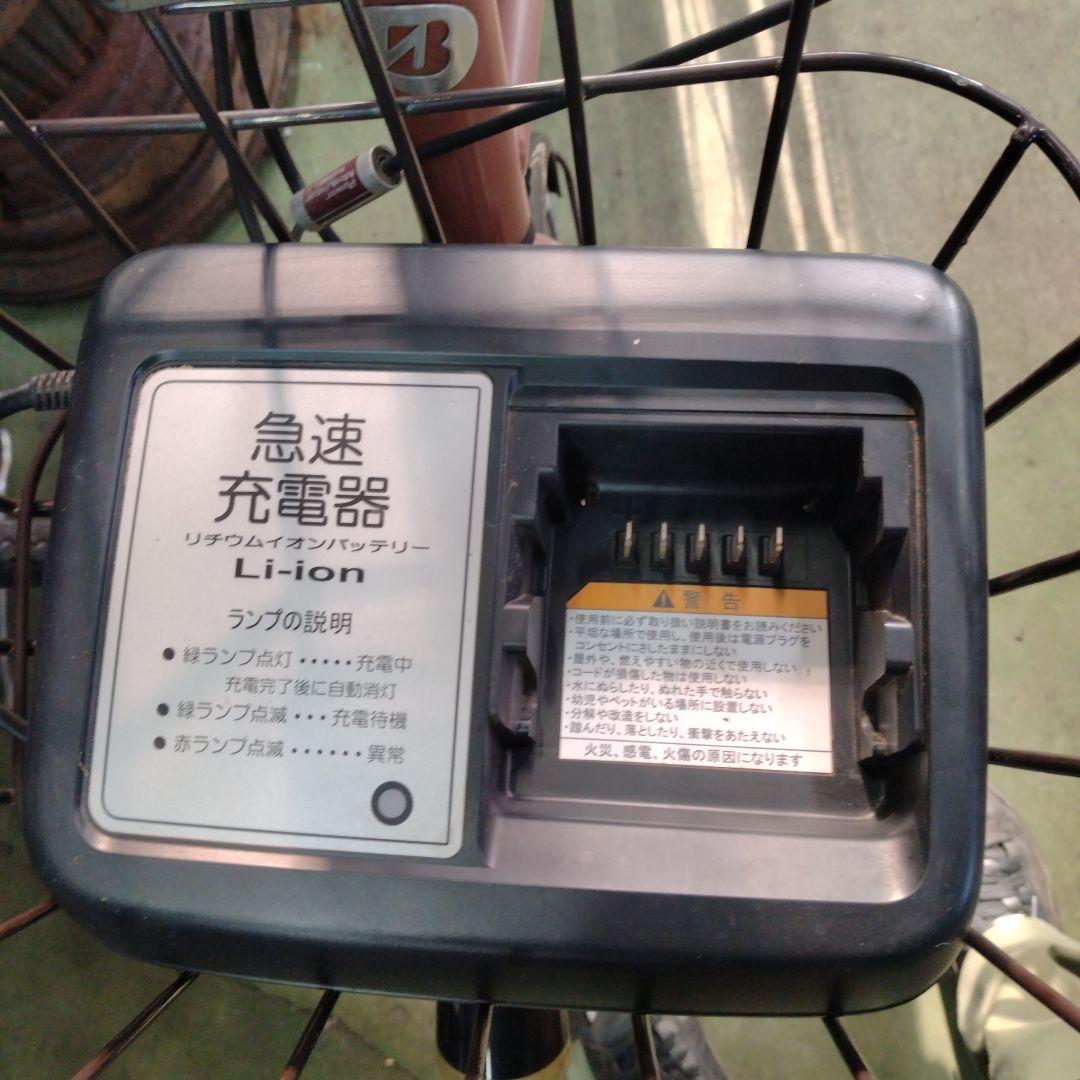 デタケパンダ様[699]送料無料 Real Stream Mini 電動自転車