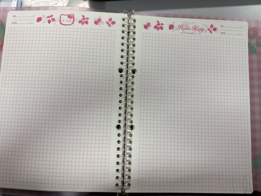 1999年　レア　Hello Kitty いちご柄リングノート セット