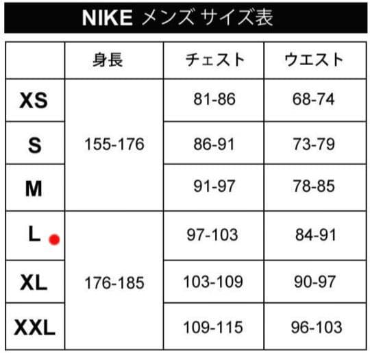 【新品】NIKE ナイキ RPL マイラー フーディー ジャケット L
