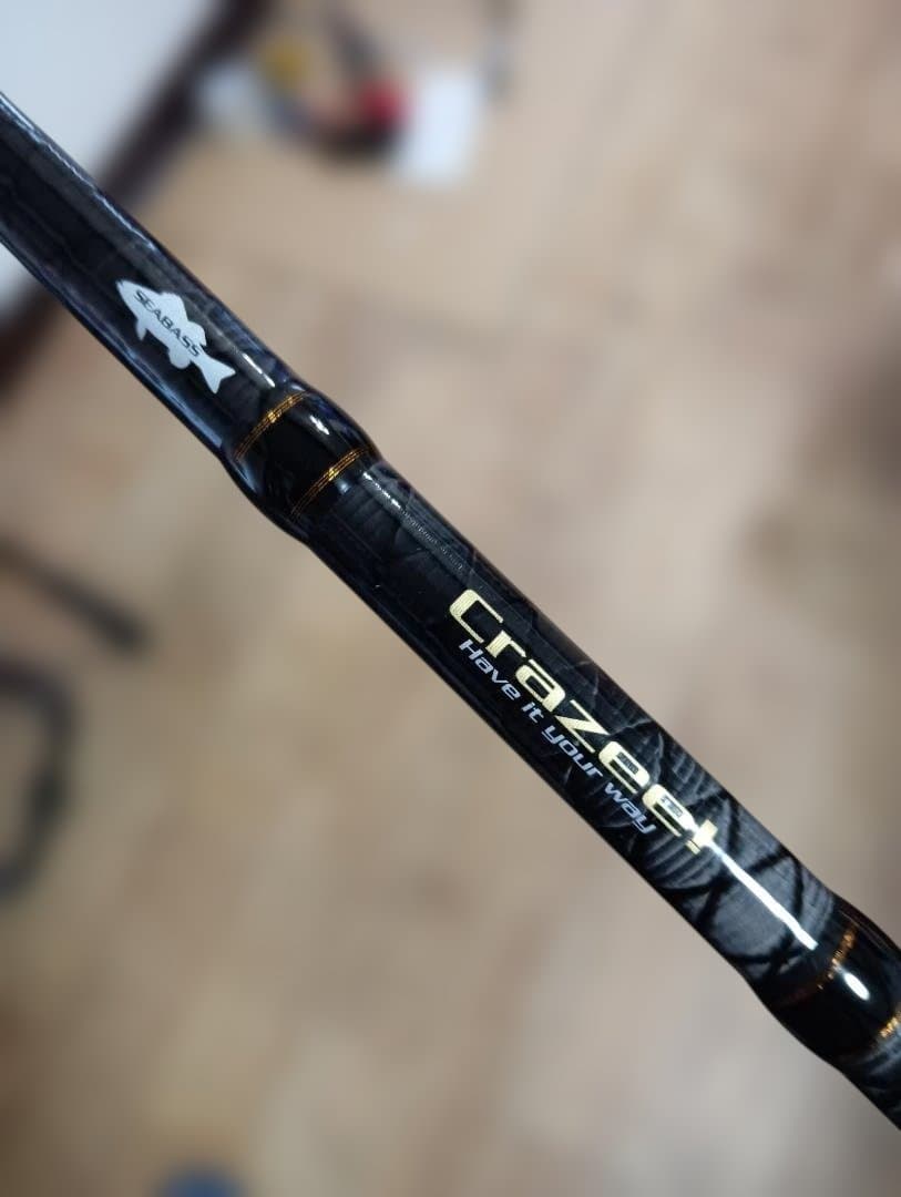 シーバスロッド２本 CROSTAGE 、A-TEC