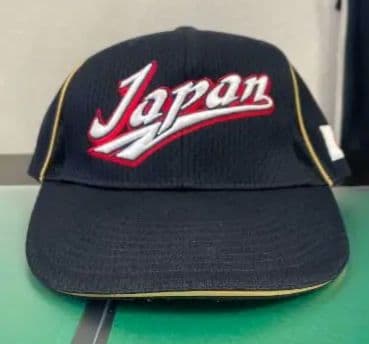 JAPAN プロコレクション MIZUNOPRO ジャパン 日本代表 ミズノプロ