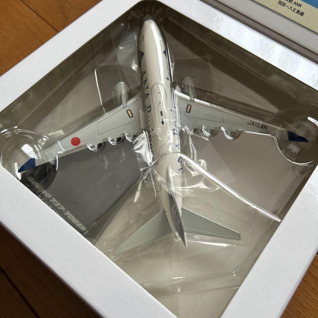 ANA Boeing 737-700ER ビジネスジェット