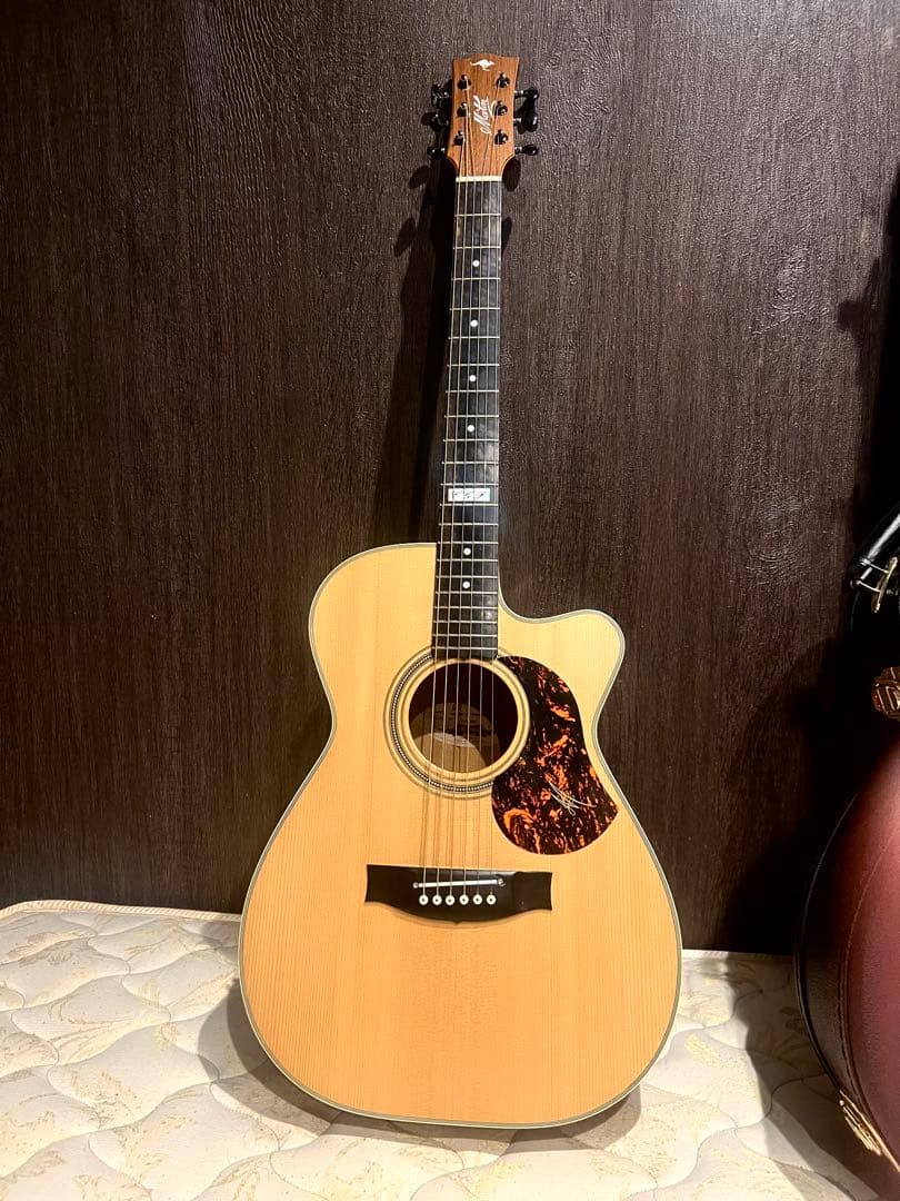 【超美品】Maton メイトン　EBG808c TE トミエマモデル！