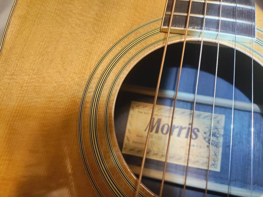 Morris アコースティックギターW25