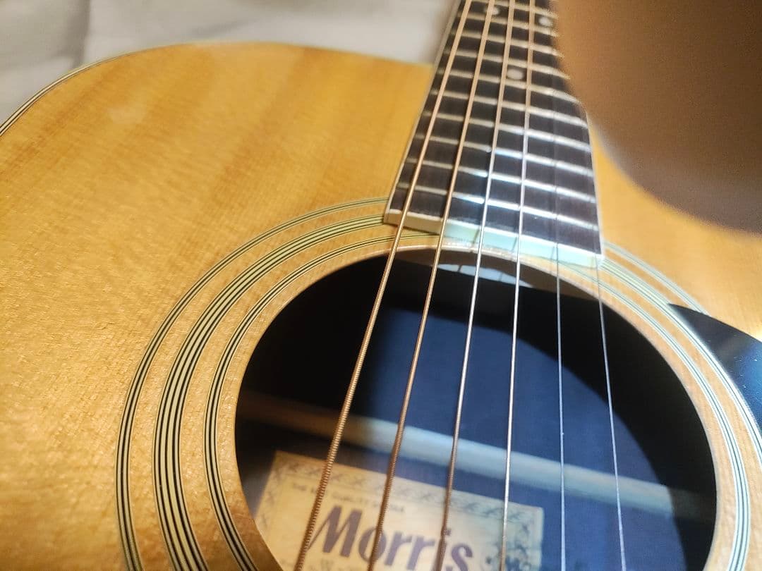 Morris アコースティックギターW25