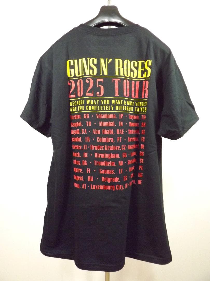 L 新品 GUNS N' ROSES (ガンズ) 2025 Admat Tシャツ
