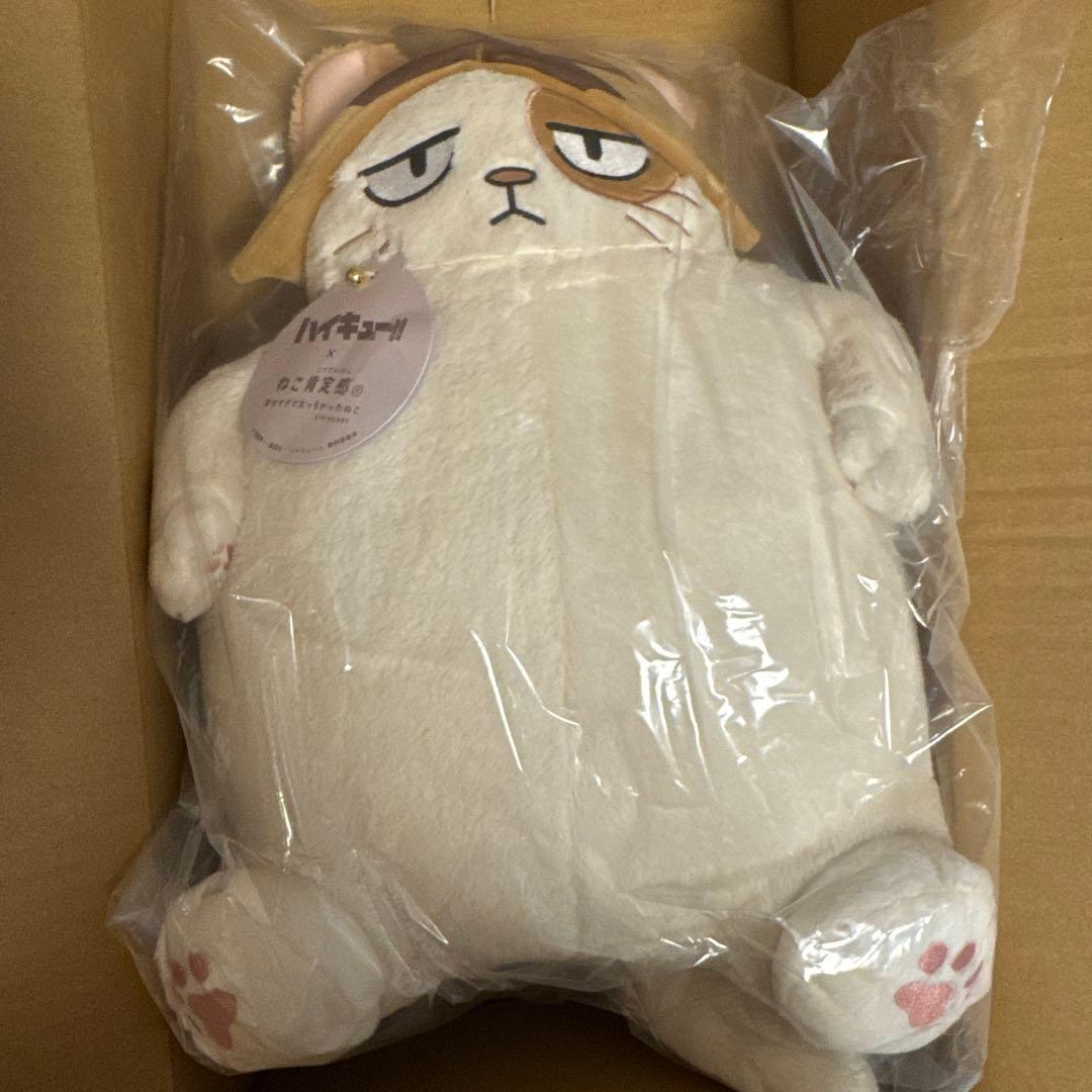 ハイキュー ねこ肯定感 ケンマネコ 孤爪研磨
