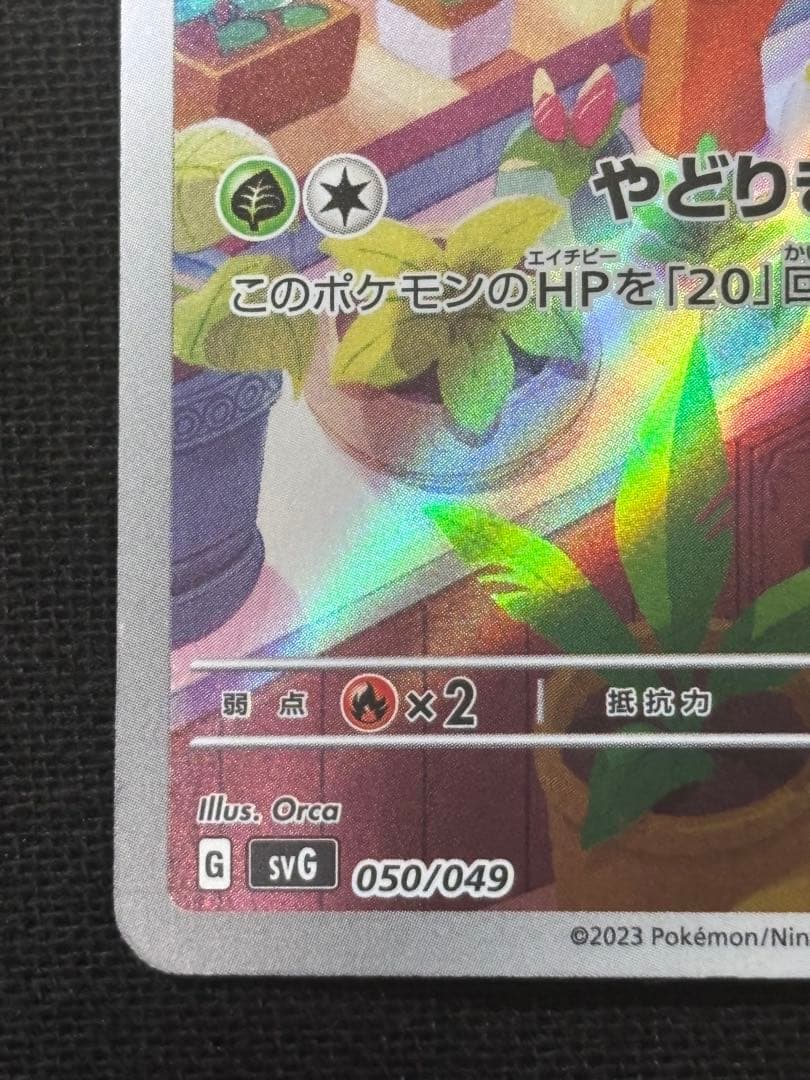 ゼニガメAR フシギダネAR スペシャルデッキセットex プロモ