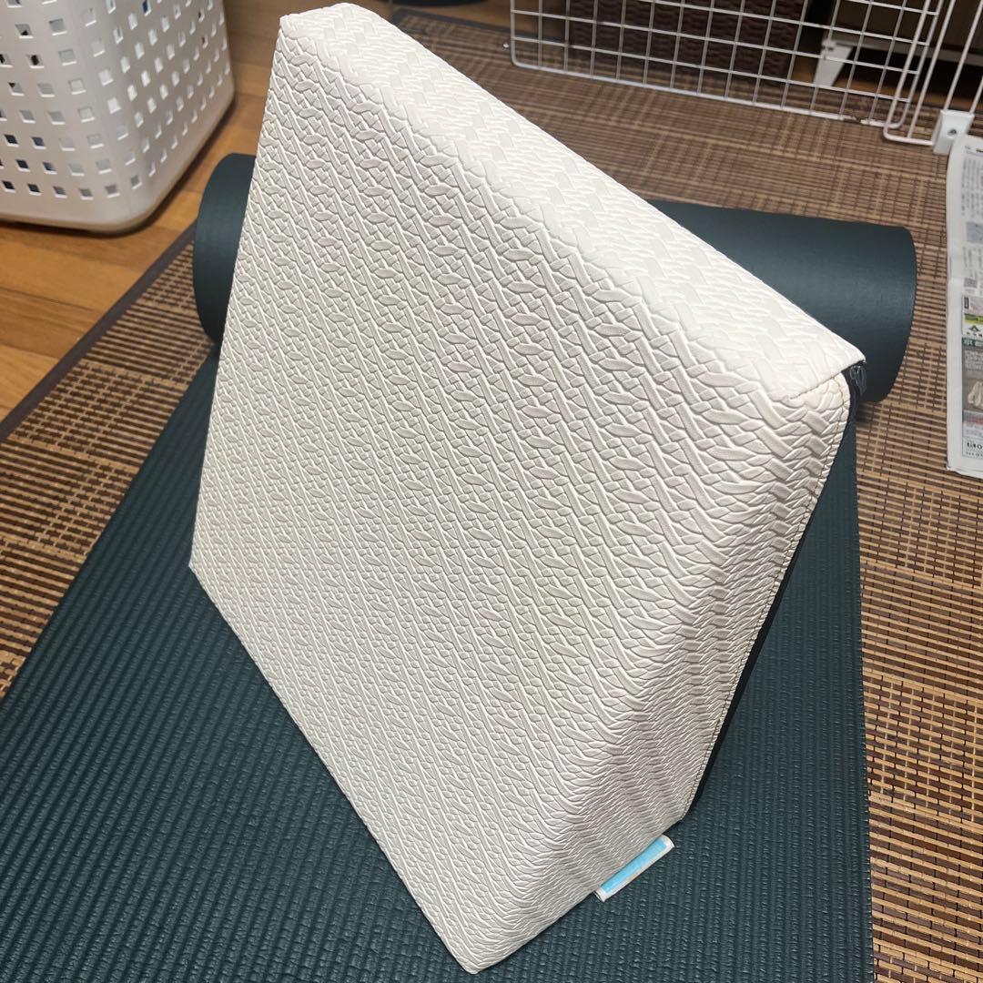 サンテプラス フレックスクッション ホワイト