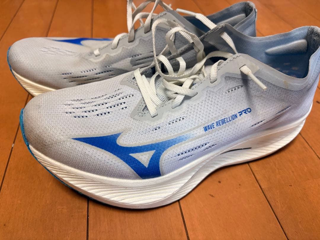 Mizuno Wave Rebellion Pro ナチュラル　26.0