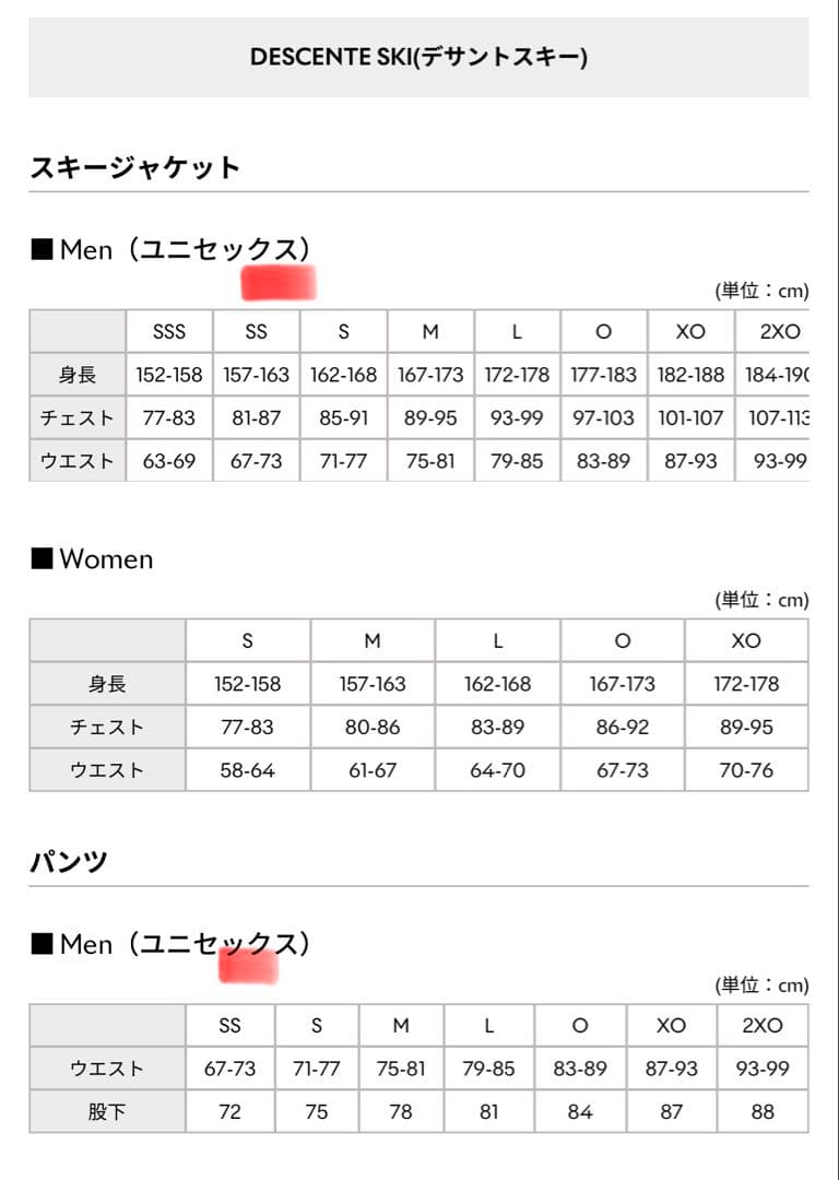 TEAM DESCENTE スキーウェア 2024非売品SSサイズ選手用
