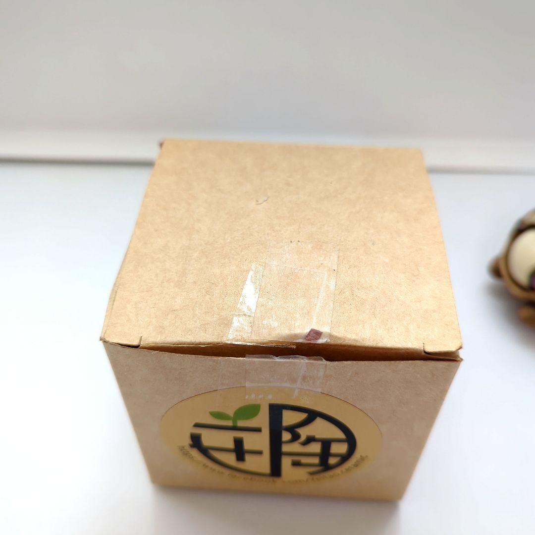 yei tao　大眼　オペルクリカリア　パキプス　植物　フィギュア