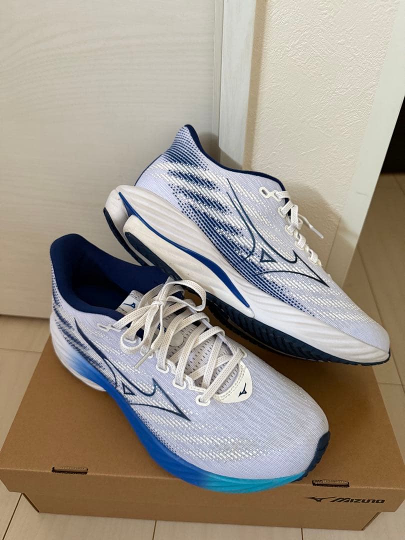 【極美品】MIZUNO WAVE RIDER 28 27.0cm