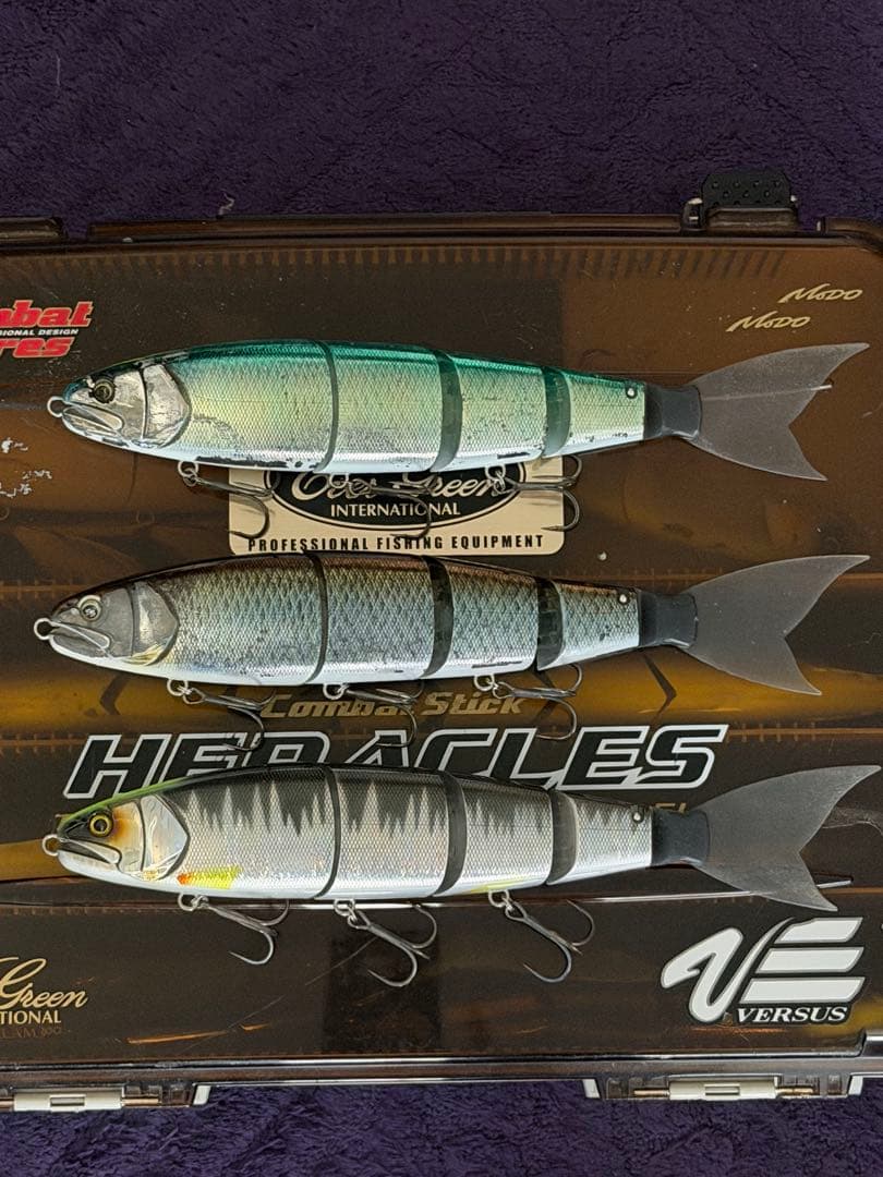 マドネス　バラム300 色々11セット➕タックルケース