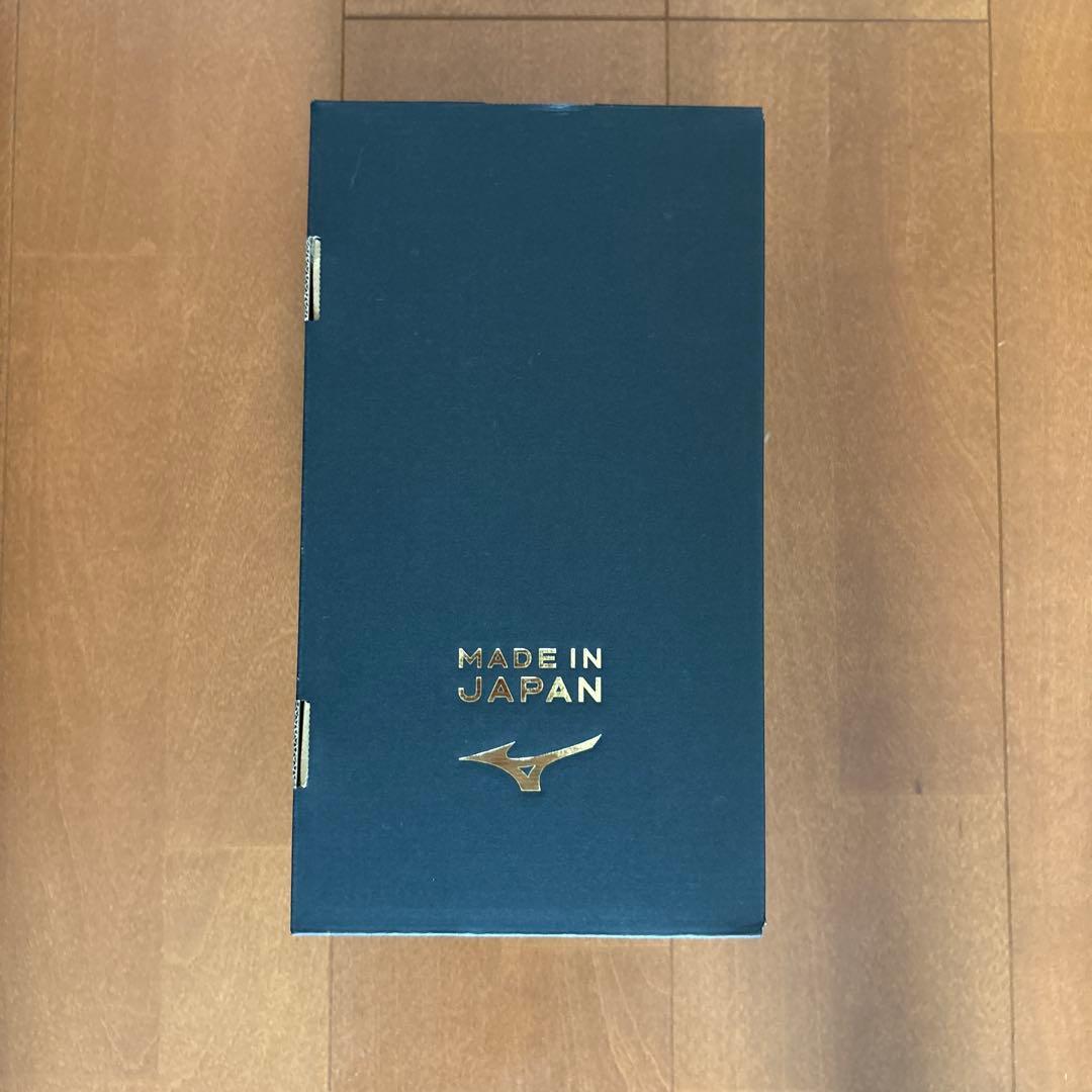 モレリア2JAPAN 23センチ