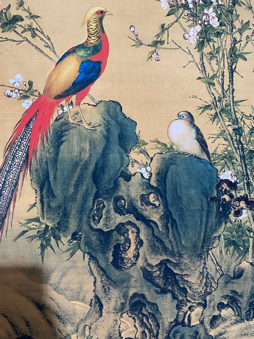郎世宁 锦鸡图 中国画 掛け軸 水墨画 和室 玄関 茶室 壁掛け 美術品