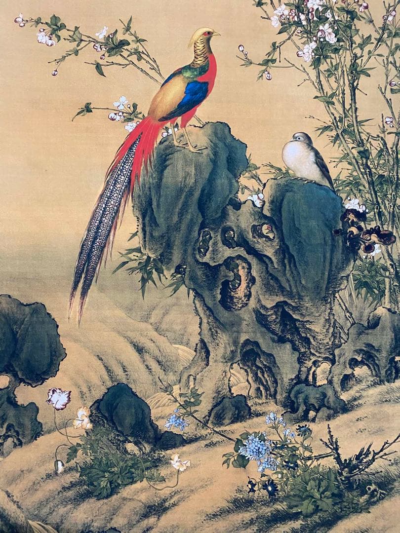 郎世宁 锦鸡图 中国画 掛け軸 水墨画 和室 玄関 茶室 壁掛け 美術品