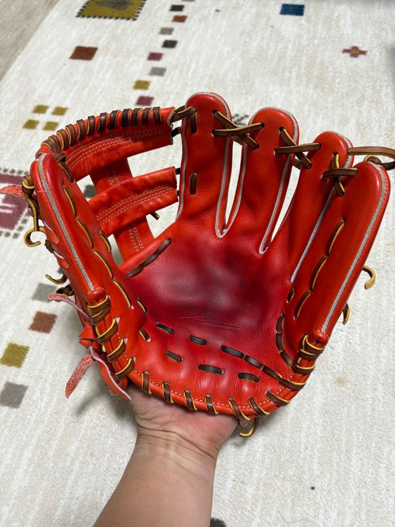 IPセレクト十河モデル