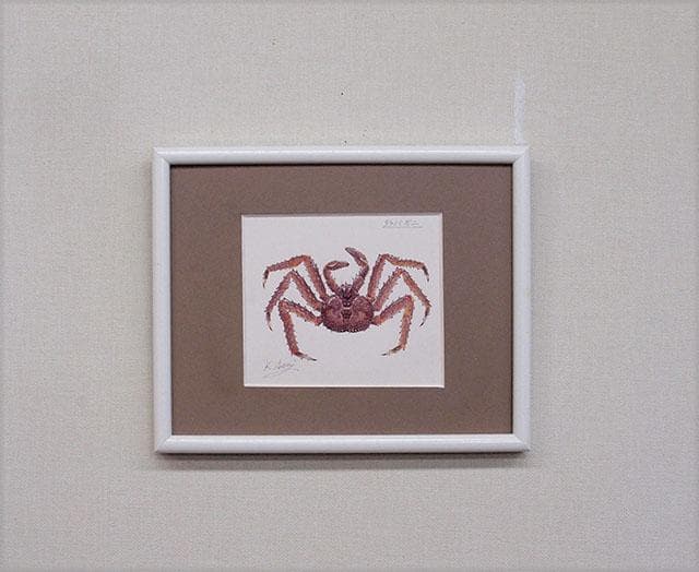 生物細密画（水彩）「タラバガニ」