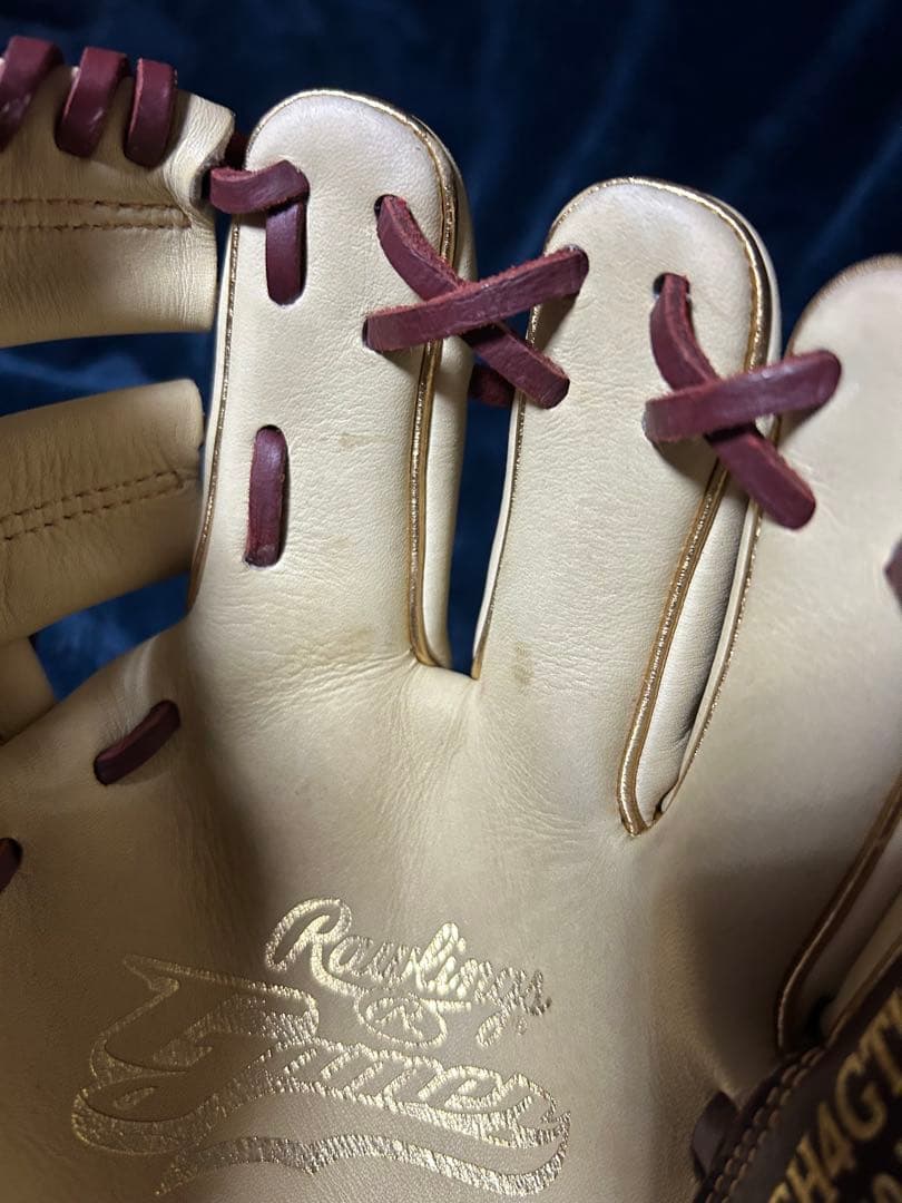 Rawlings トレーニンググラブ