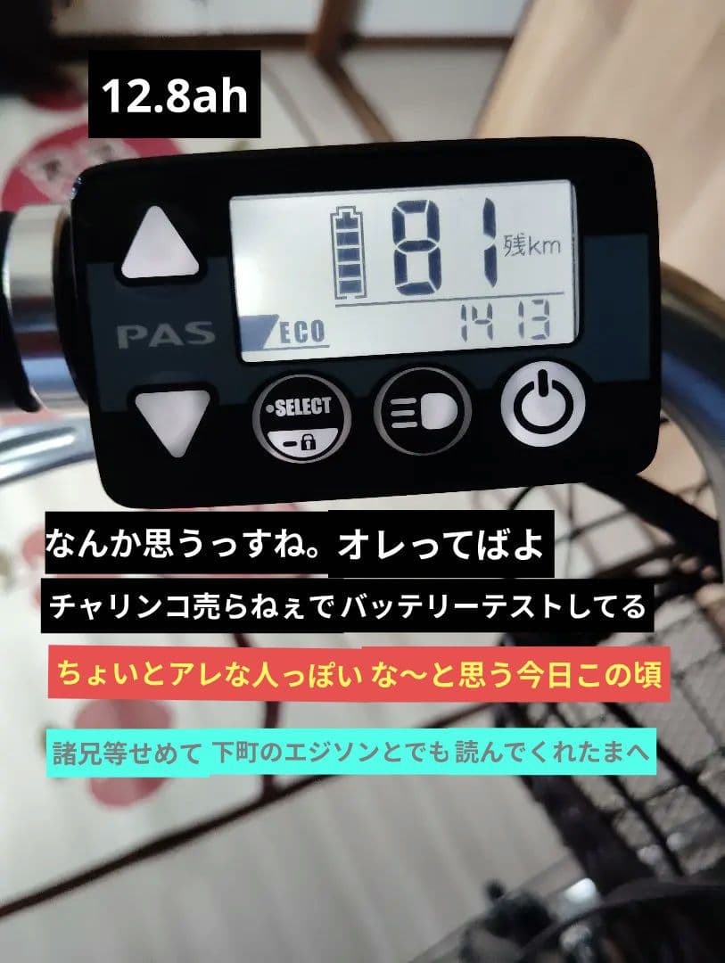 YAMAHA PAS withDX　値段は12.3ah準拠