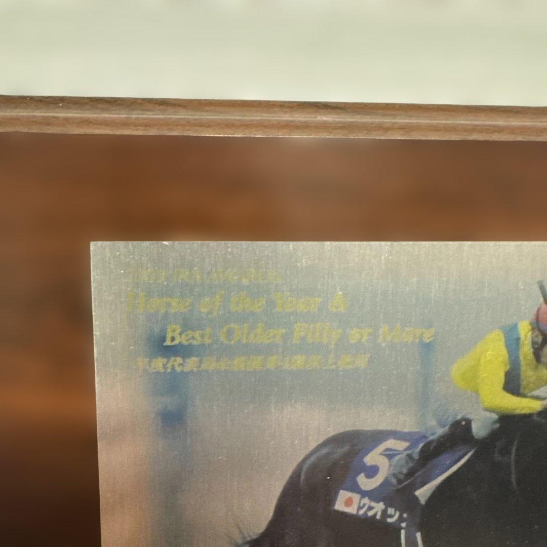 【競馬】ウォッカ メモリアル盾 年度代表馬&最優秀4歳以上牝馬 Vodka