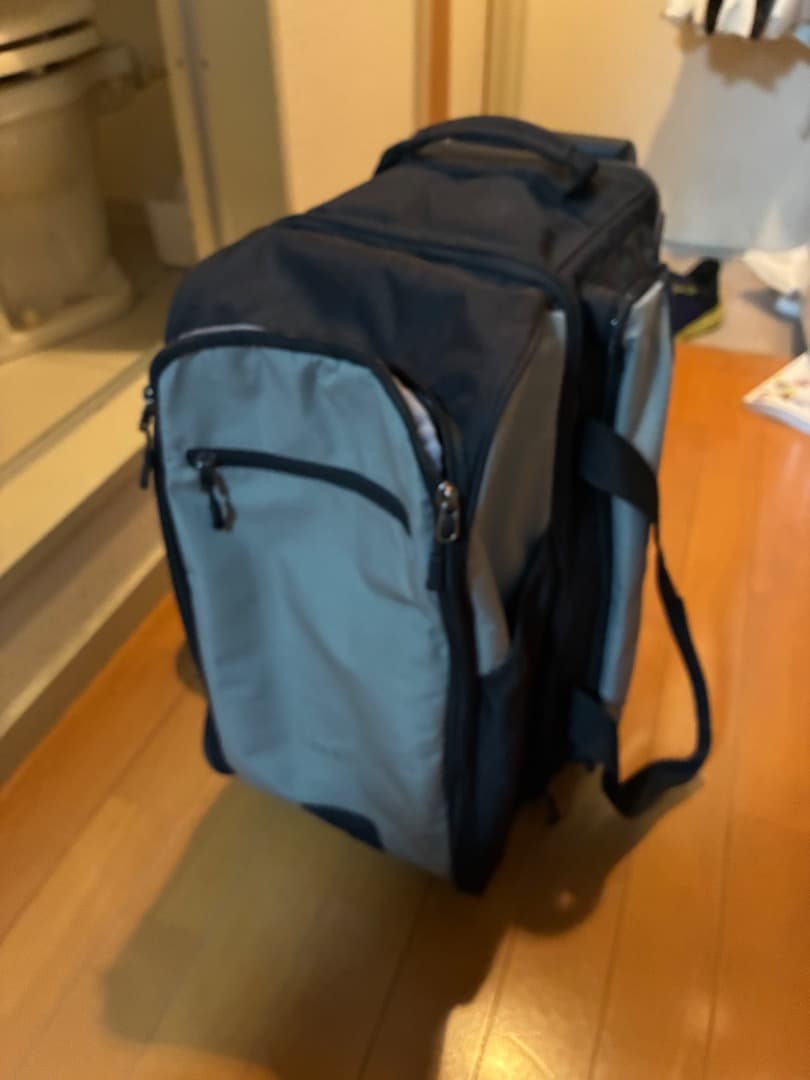 2個用ボールバッグ、ピッチブラック、ブラックウィドーパープルパールウレタン