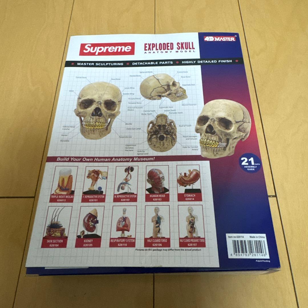 supreme 4d model human skull シュプリーム スカル
