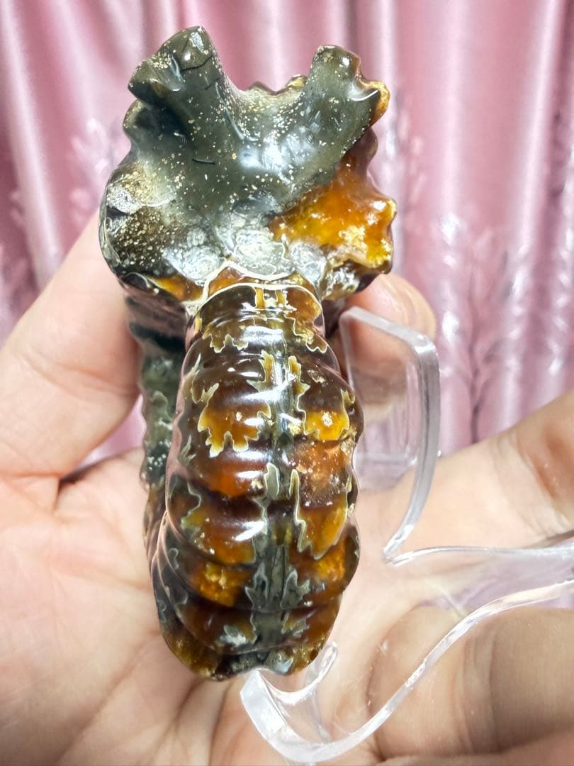 極美品マダガスカルのアンモナイト化石　本物希少 貴重品　置物　インテリア送料無料
