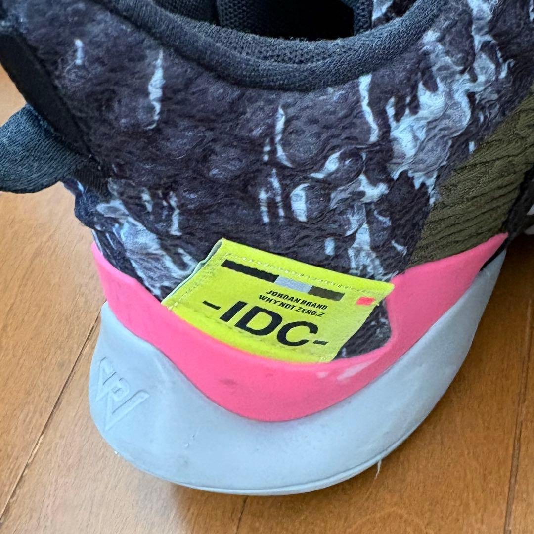 シューズ(男性用) Jordan Why Not Zer0.2 PF