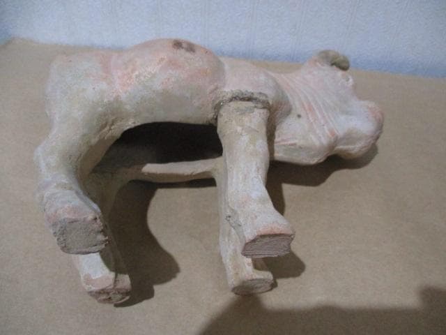 古代インダス文明　コブ牛　S30-3