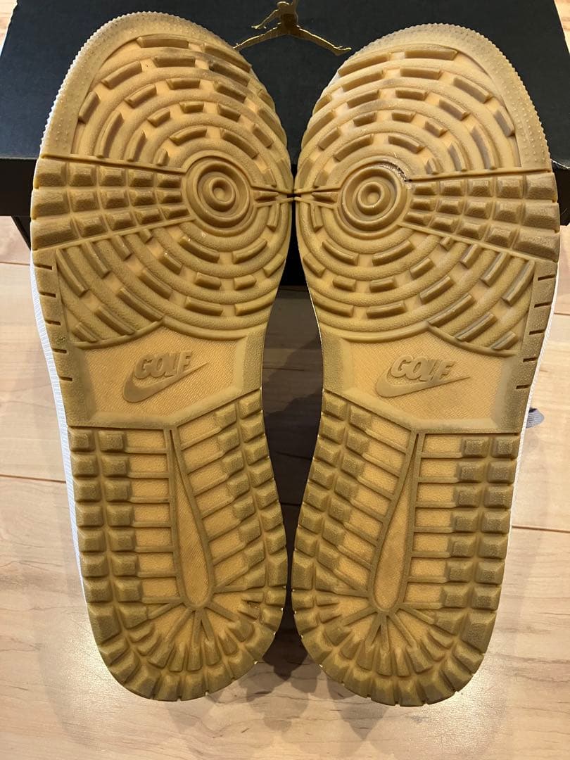 NIKE AIR JORDAN 1 LOW GOLF ナイキ エアジョーダン